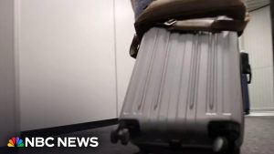 Dramatic Travel Decline amid global uncertainty